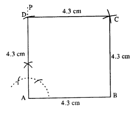 Selina Concise Mathematics Class 8 ICSE Solutions Chapter 18 Constructions image - 60