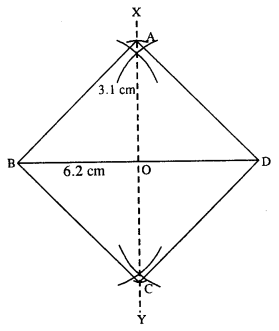 Selina Concise Mathematics Class 8 ICSE Solutions Chapter 18 Constructions image - 61