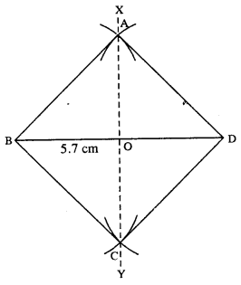 Selina Concise Mathematics Class 8 ICSE Solutions Chapter 18 Constructions image - 62