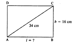 Selina Concise Mathematics Class 8 ICSE Solutions Chapter 20 Area of Trapezium and a Polygon image - 21