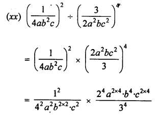 Selina Concise Mathematics class 7 ICSE Solutions - Exponents (Including Laws of Exponents) image - 25