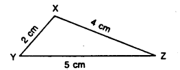 Selina Concise Mathematics class 7 ICSE Solutions - Triangles image -9