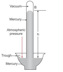 Selina Concise Physics Class 9 ICSE Solutions Pressure in Fluids and Atmospheric Pressure - 19