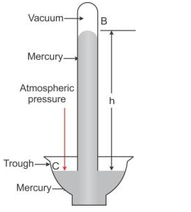 Selina Concise Physics Class 9 ICSE Solutions Pressure in Fluids and Atmospheric Pressure - 20