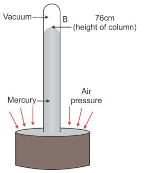 Selina Concise Physics Class 9 ICSE Solutions Pressure in Fluids and Atmospheric Pressure - 21