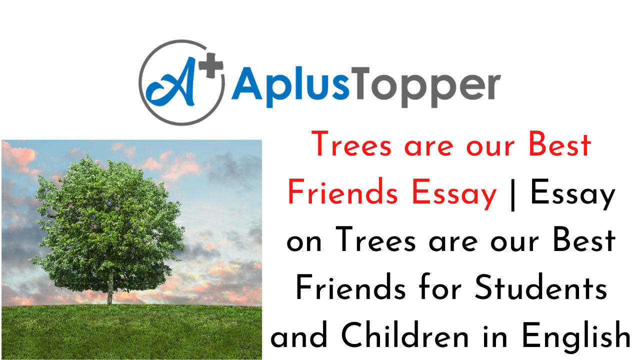 Trees are our Best Friends Essay