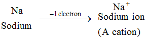 What are the Two Types of Ions and how are they Different 1