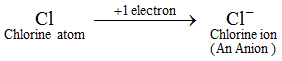 What are the Two Types of Ions and how are they Different 3