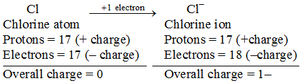 What are the Two Types of Ions and how are they Different 4