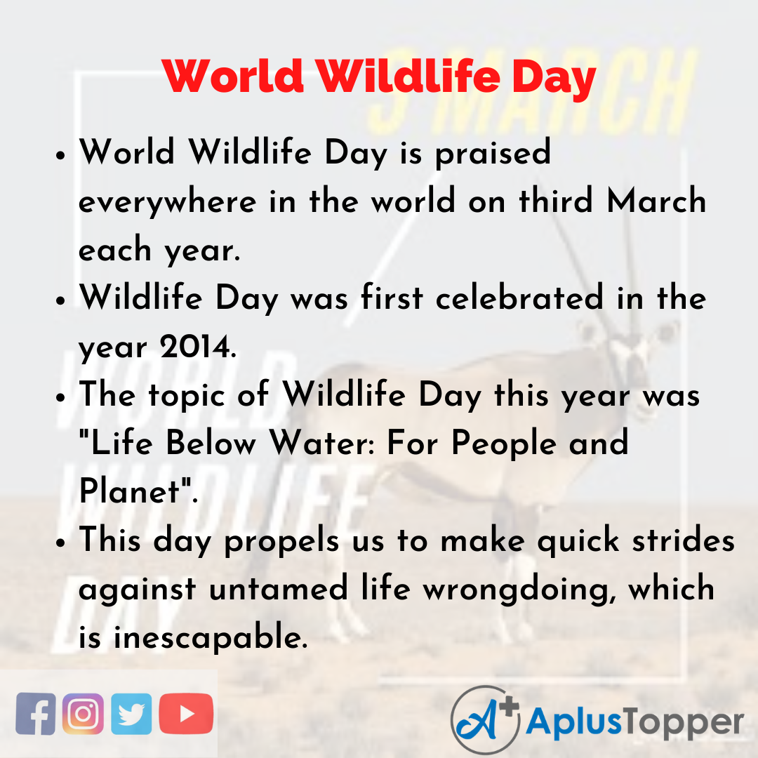 10 Lines about World Wildlife Day