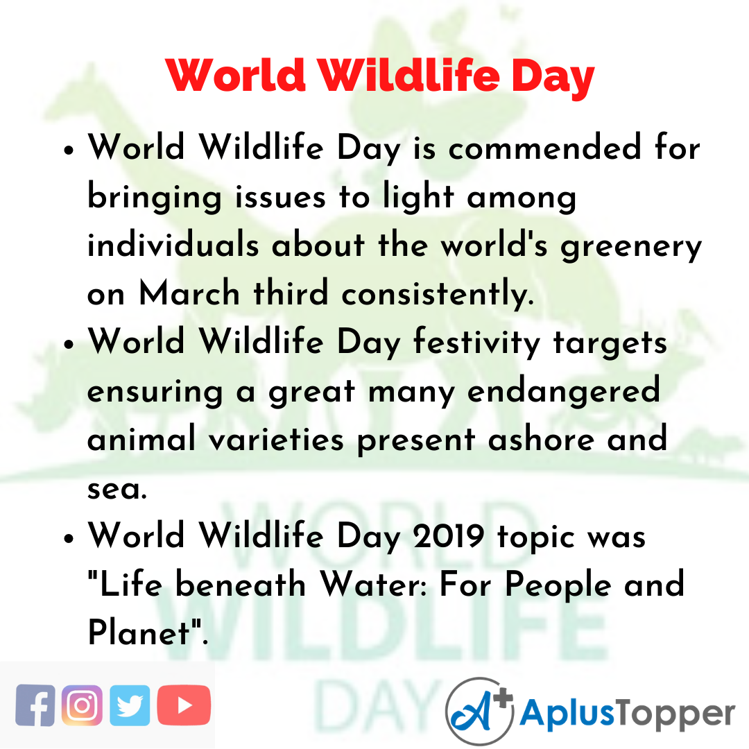 10 Lines of World Wildlife Day
