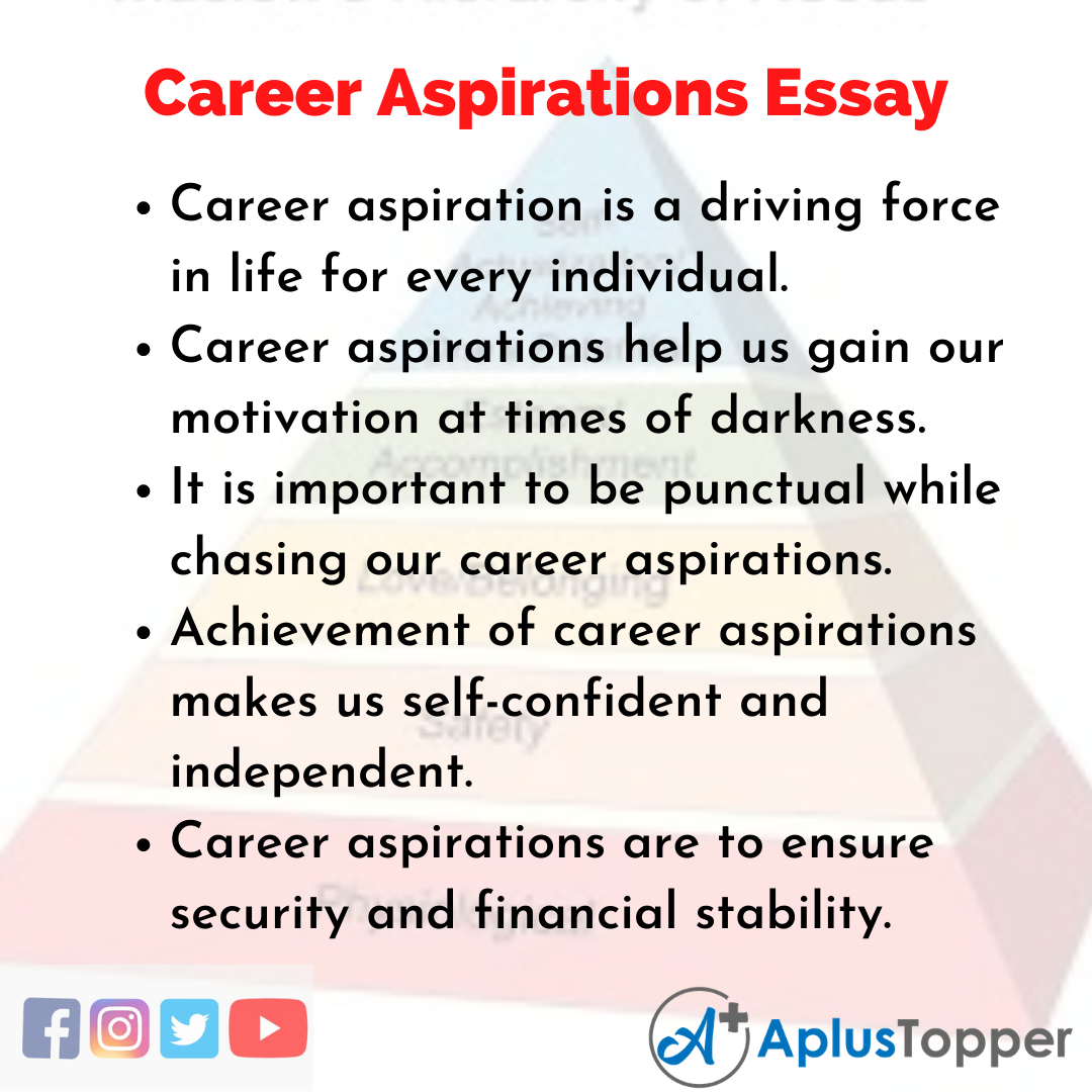 Essay about Career Aspirations
