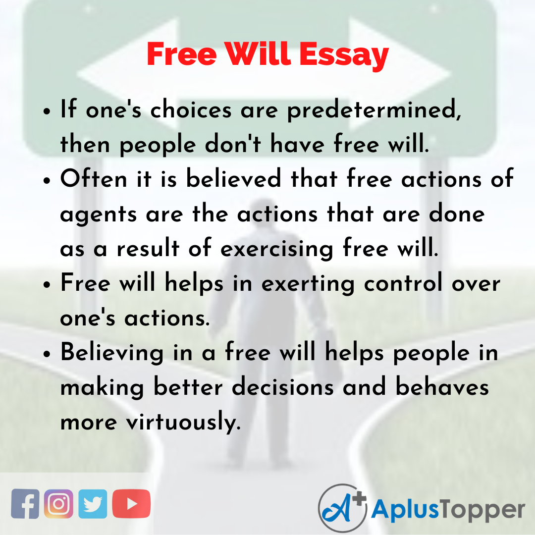 Essay about Free Will