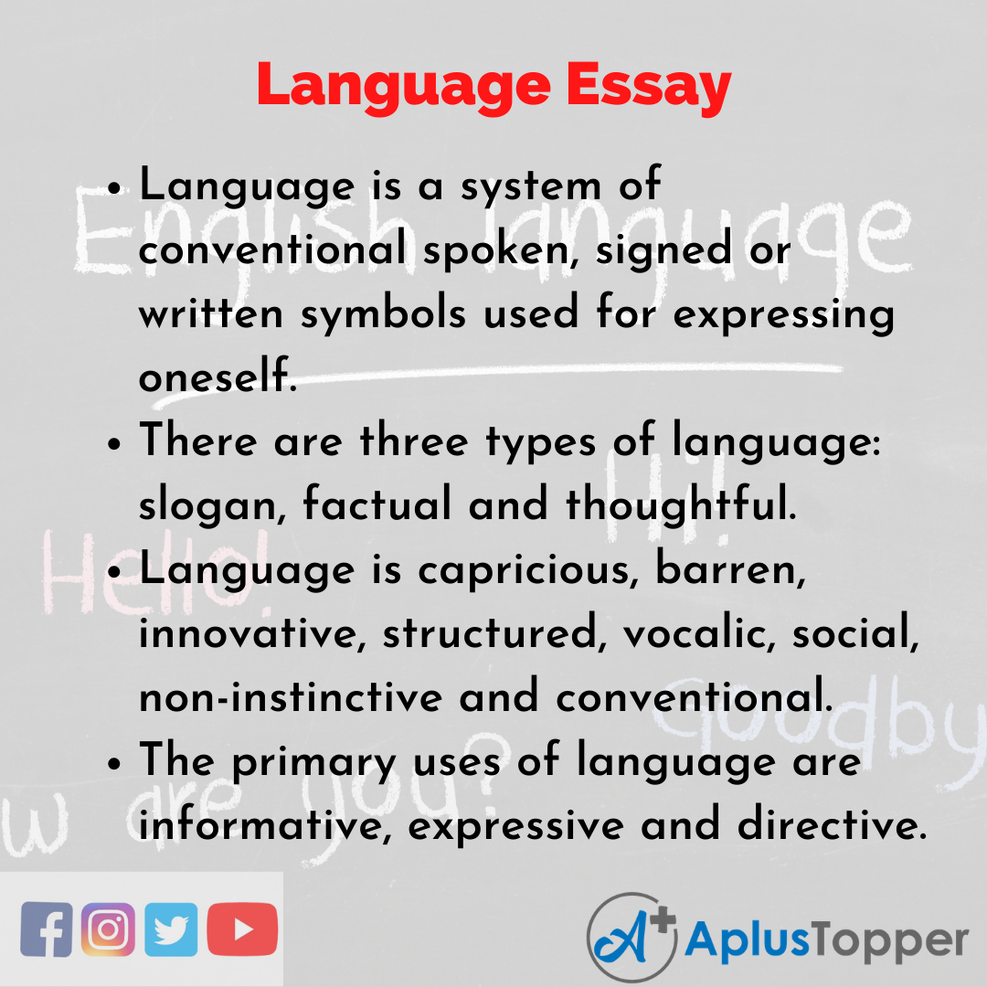 Essay about Language