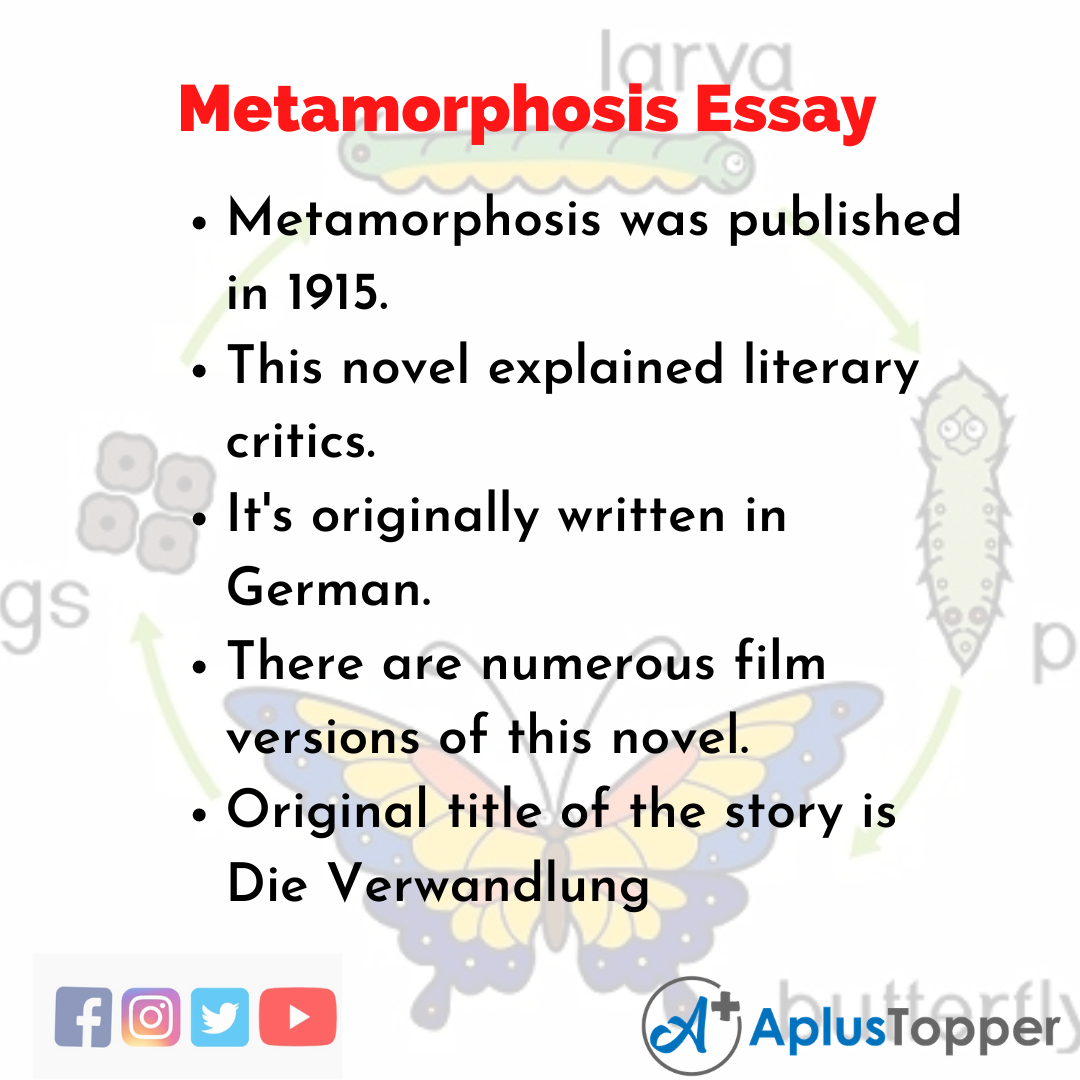 Essay about Metamorphosis