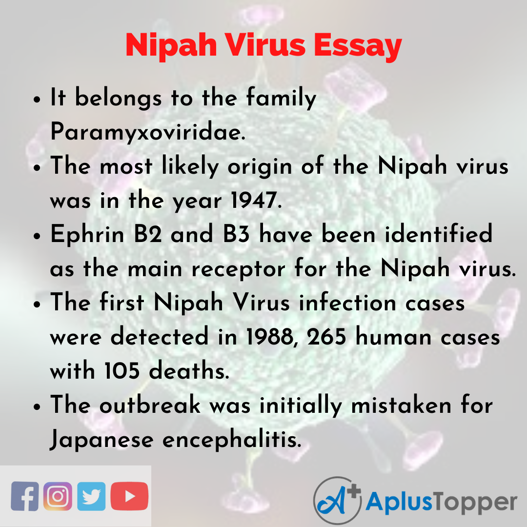 Essay about Nipah Virus
