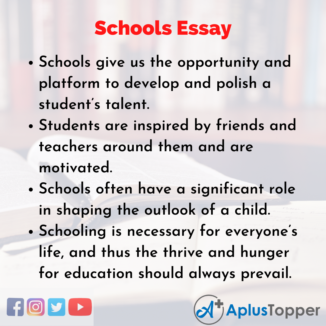 Essay about Schools