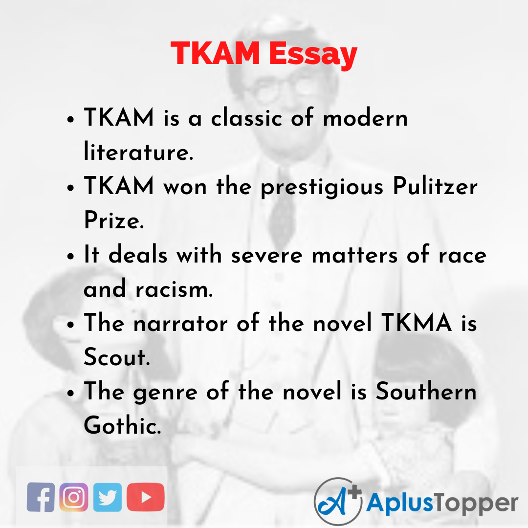Essay about TKAM