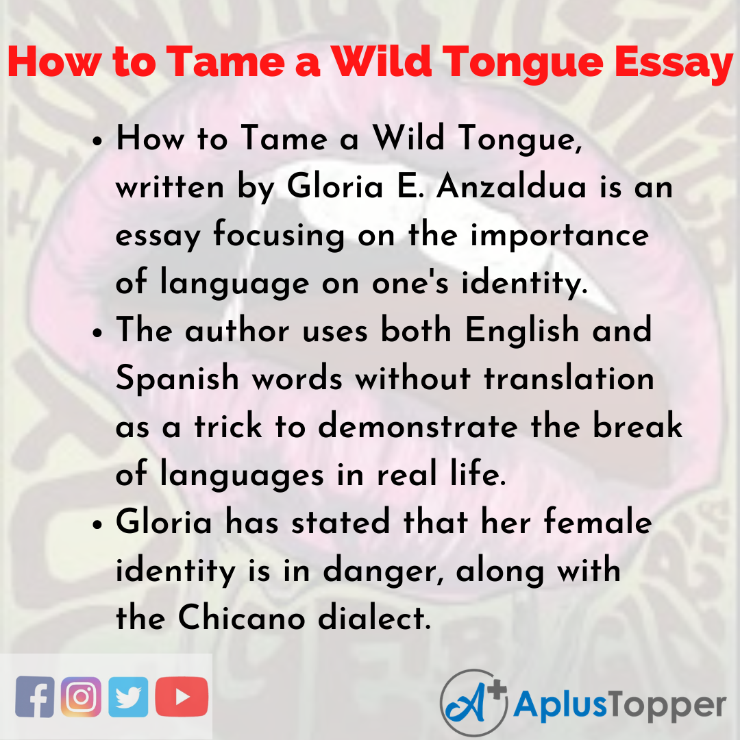 Essay on How to Tame a Wild Tongue