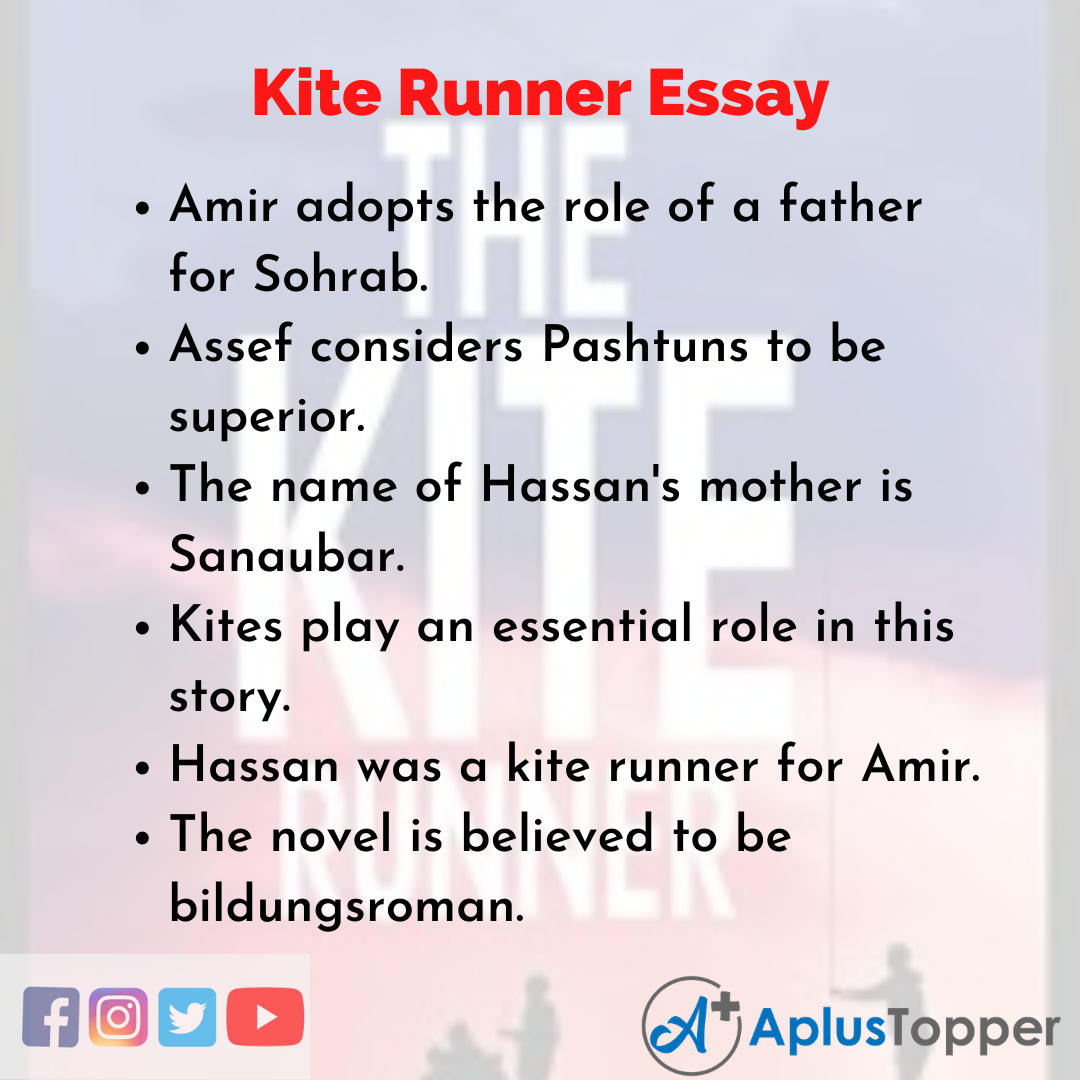Essay on Kite Runner