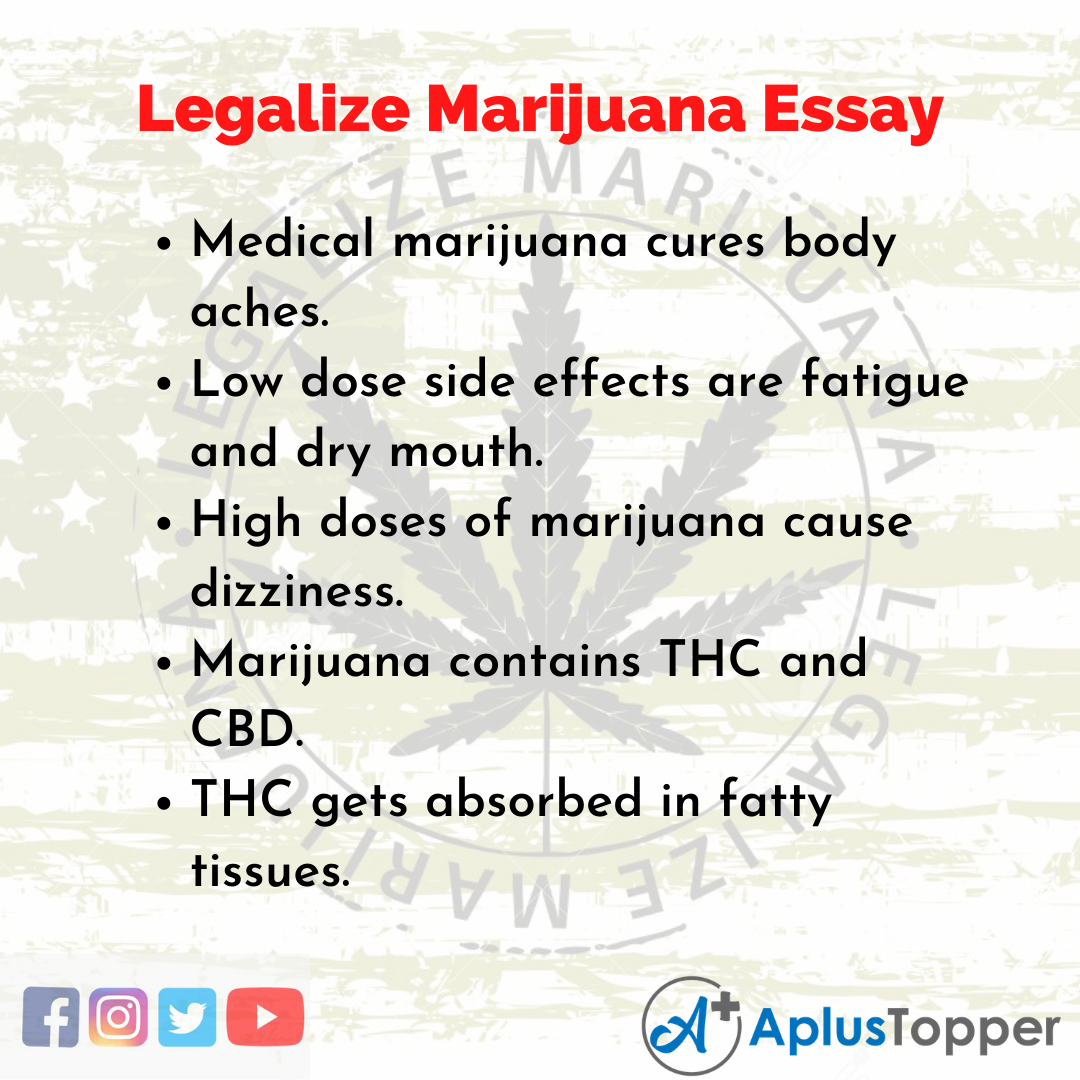 Essay on Legalize Marijuana