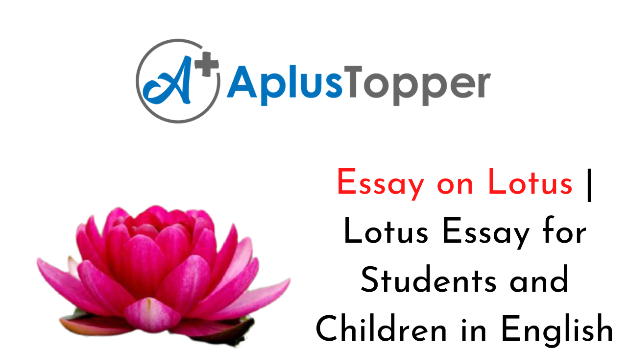 essay on lotus in english