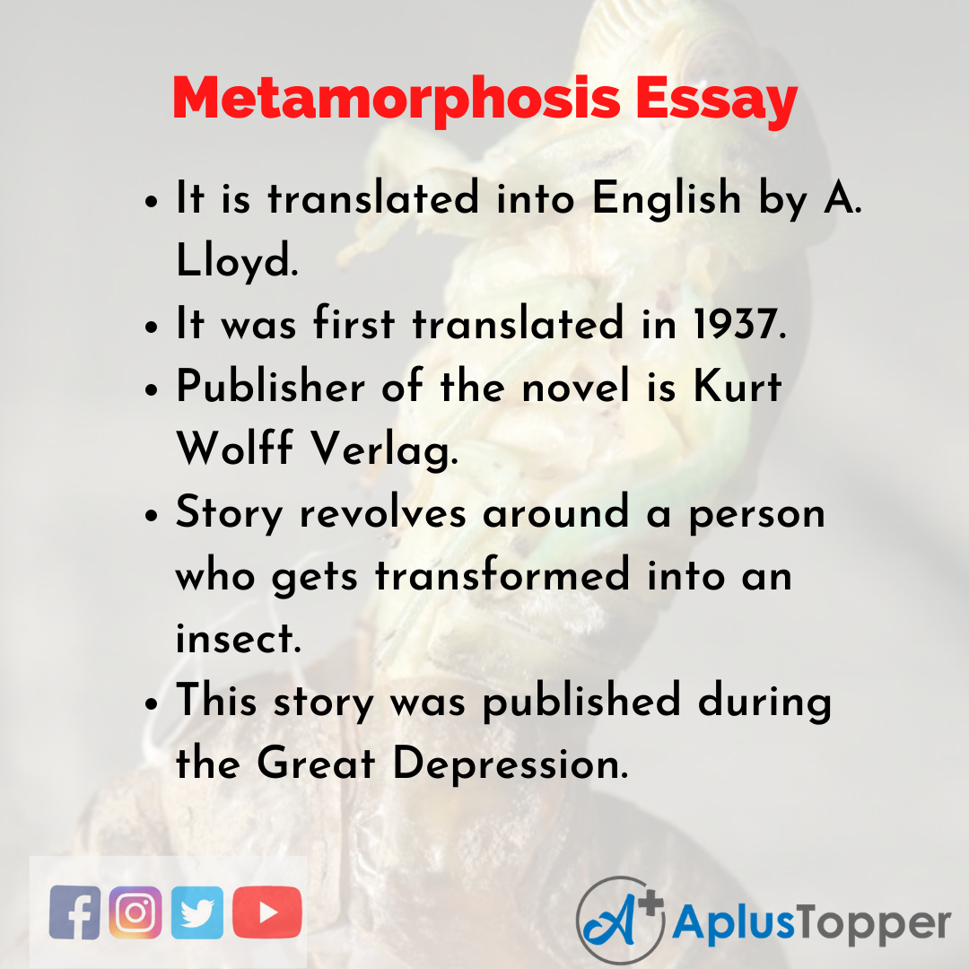 Essay on Metamorphosis