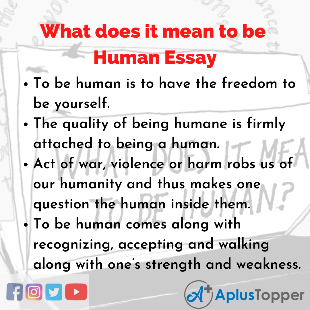 Essay on What does it mean to be Human