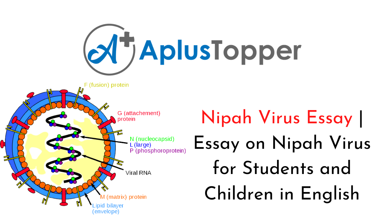 Nipah Virus Essay