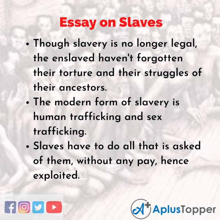 essay on slaves