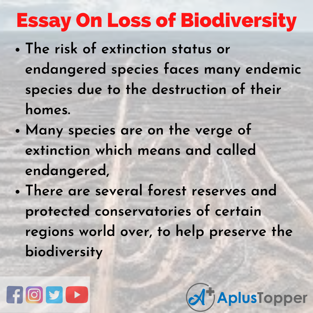 10 Lines On Loss of Biodiversity Essay