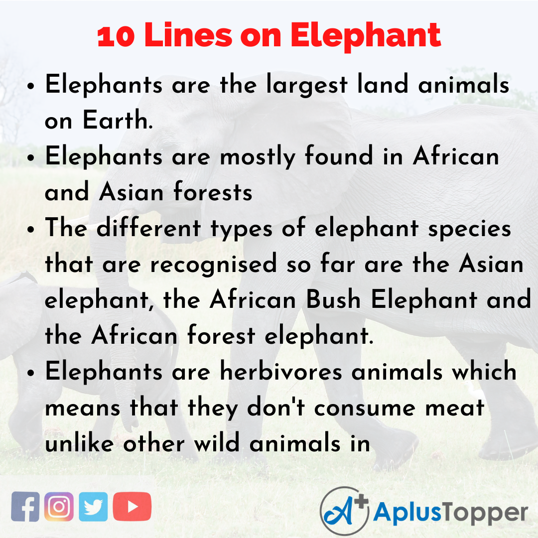 10 Lines on Elephant for School Children