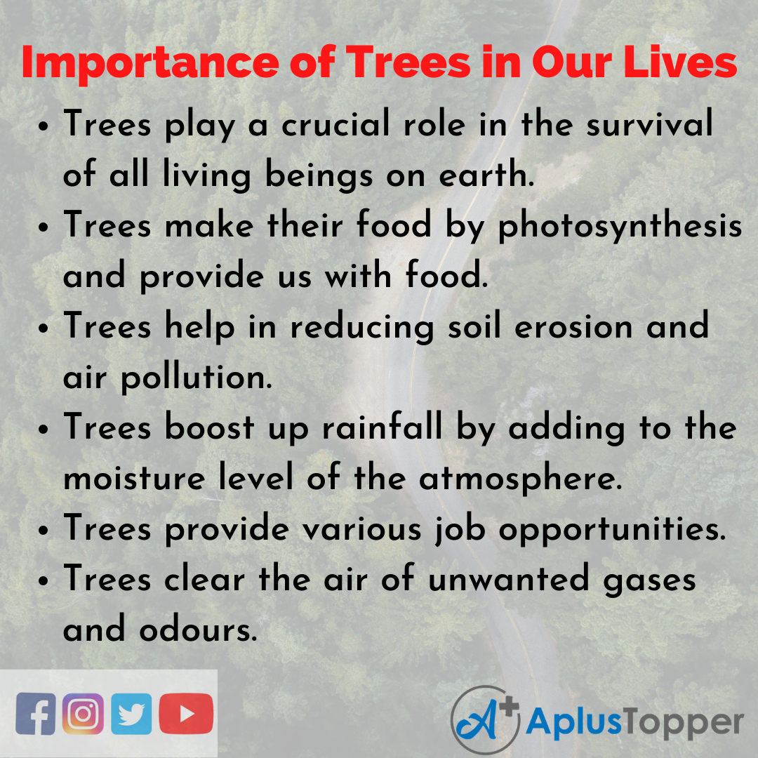 10 Lines on Importance Of Trees In Our Lives Essay
