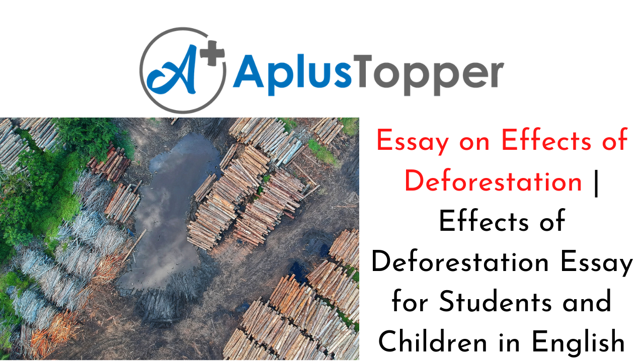 essay on the topic deforestation