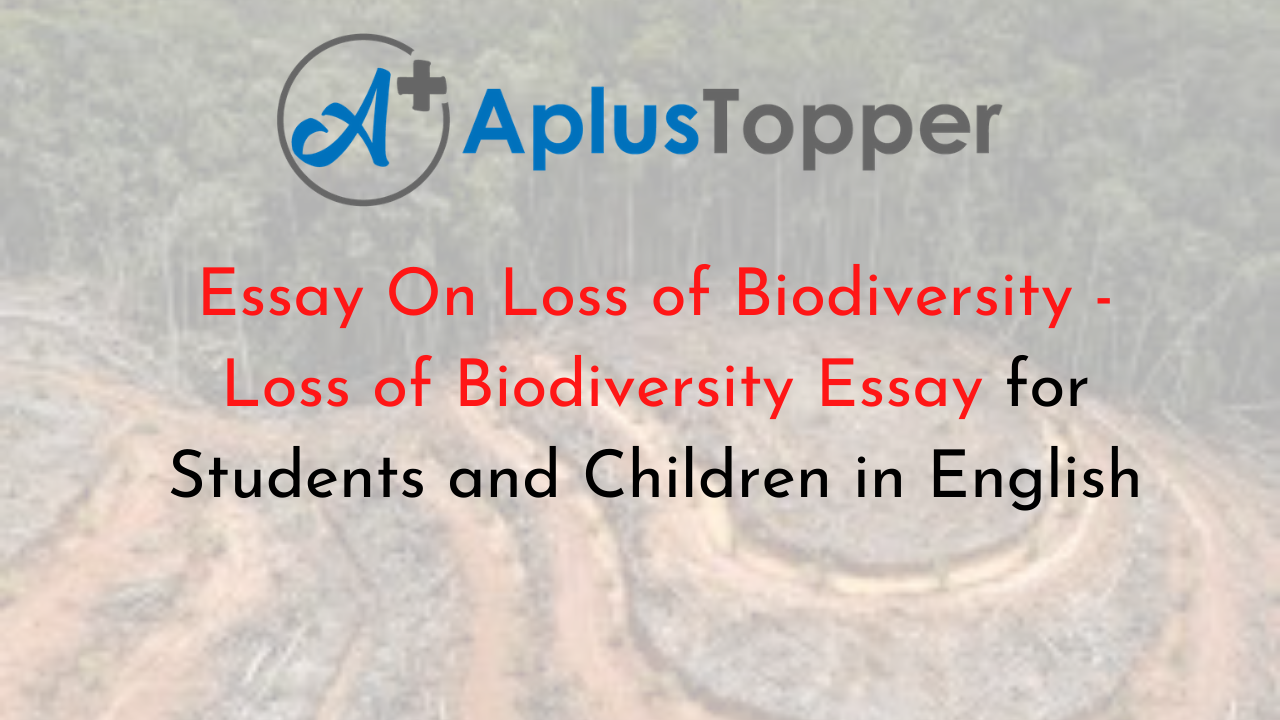 Essay On Loss of Biodiversity