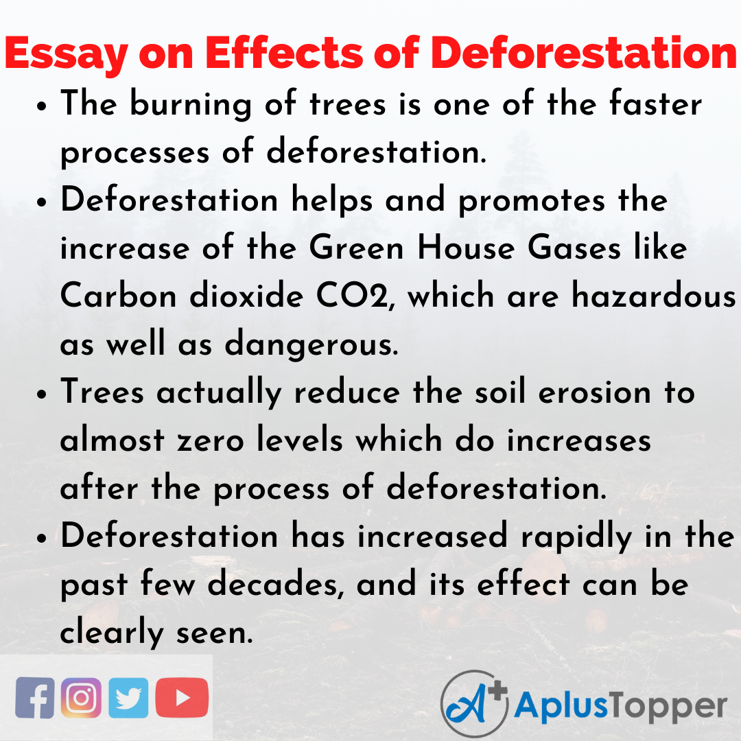 essay on deforestation in 250 words