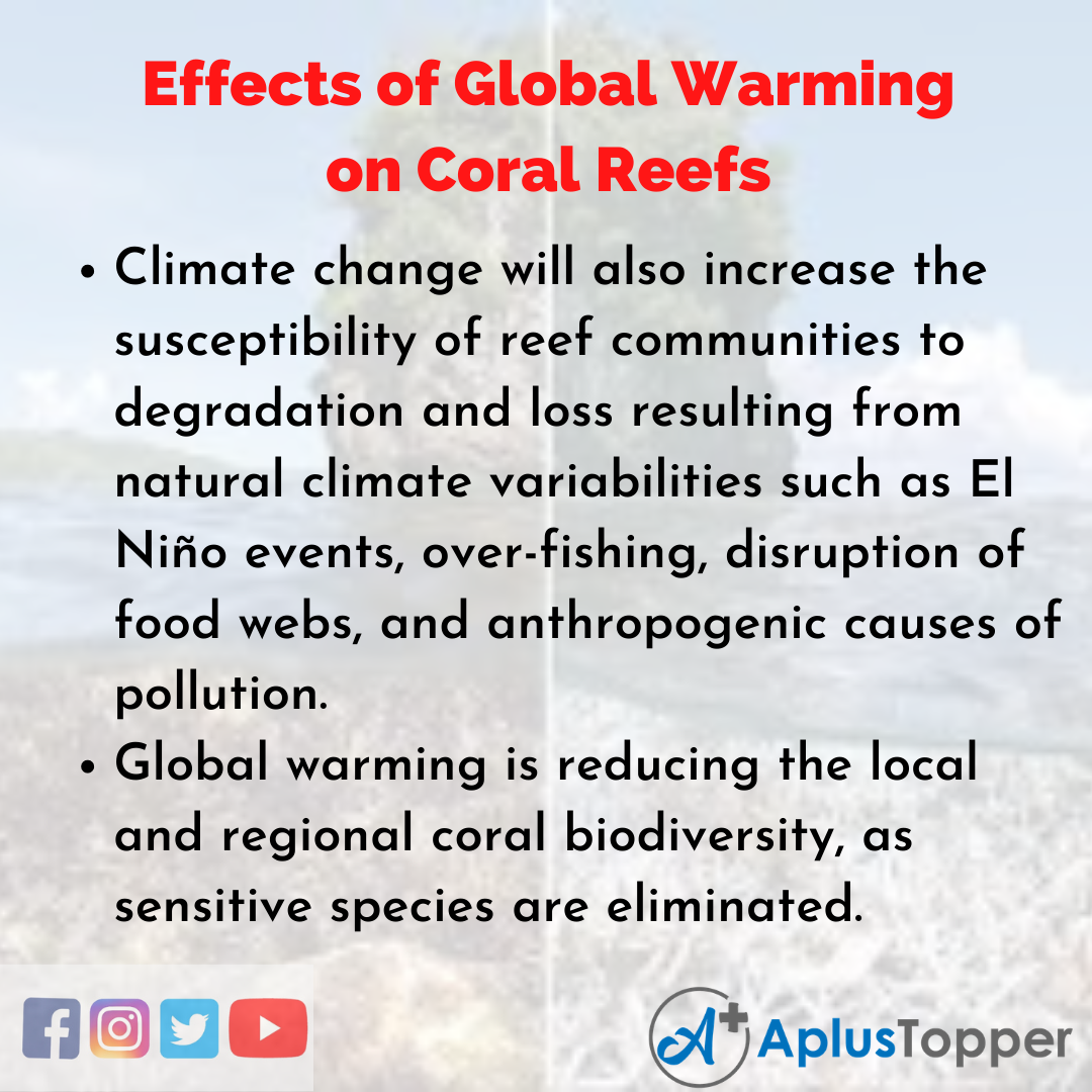 Essay about Effects of Global Warming on Coral Reefs