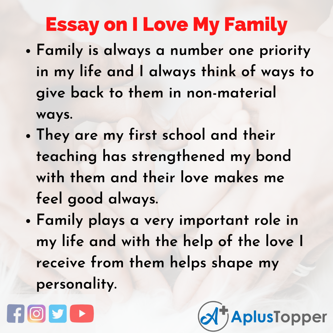 Essay about I Love My Family