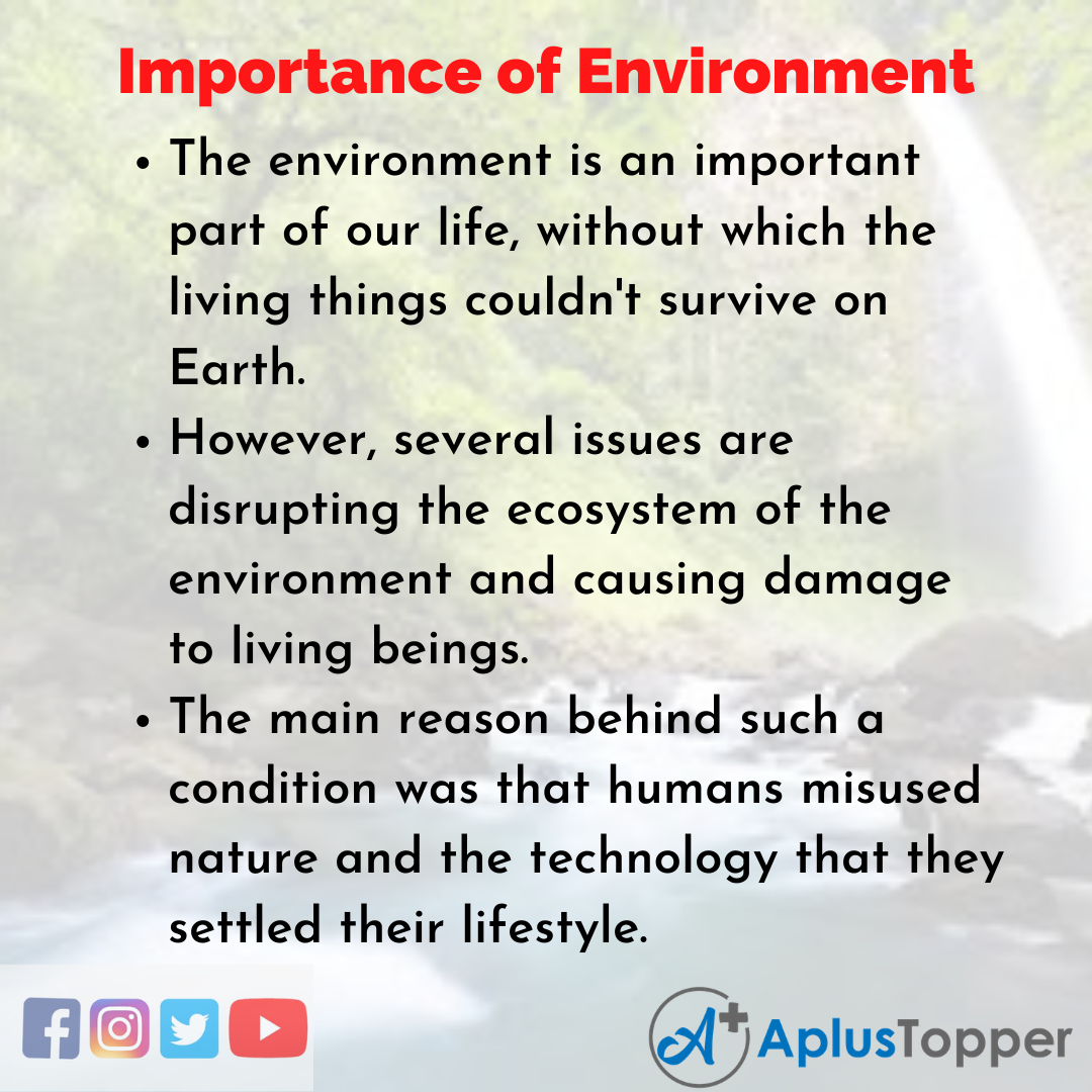 Essay about Importance of Environment