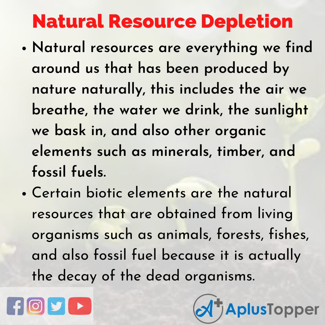 Essay about Natural Resource Depletion