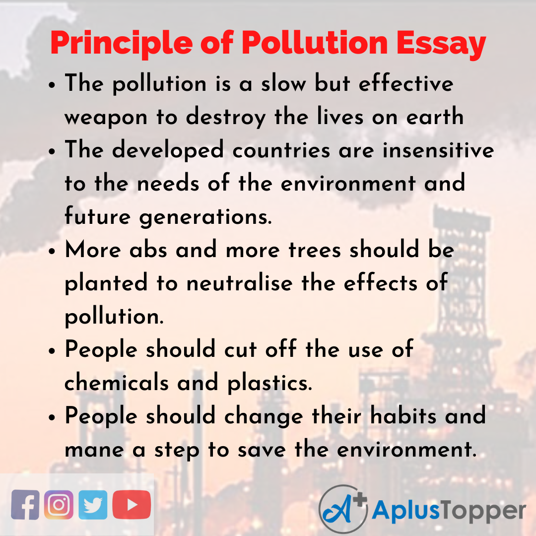 Essay about Principle of Pollution