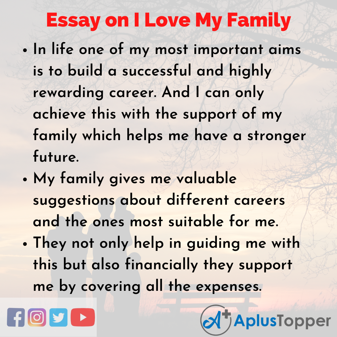 Essay for I Love My Family