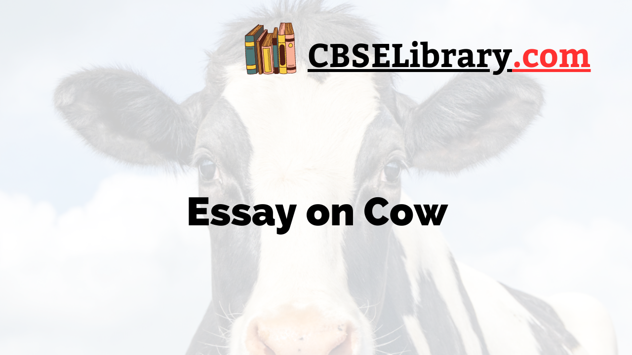 Essay on Cow