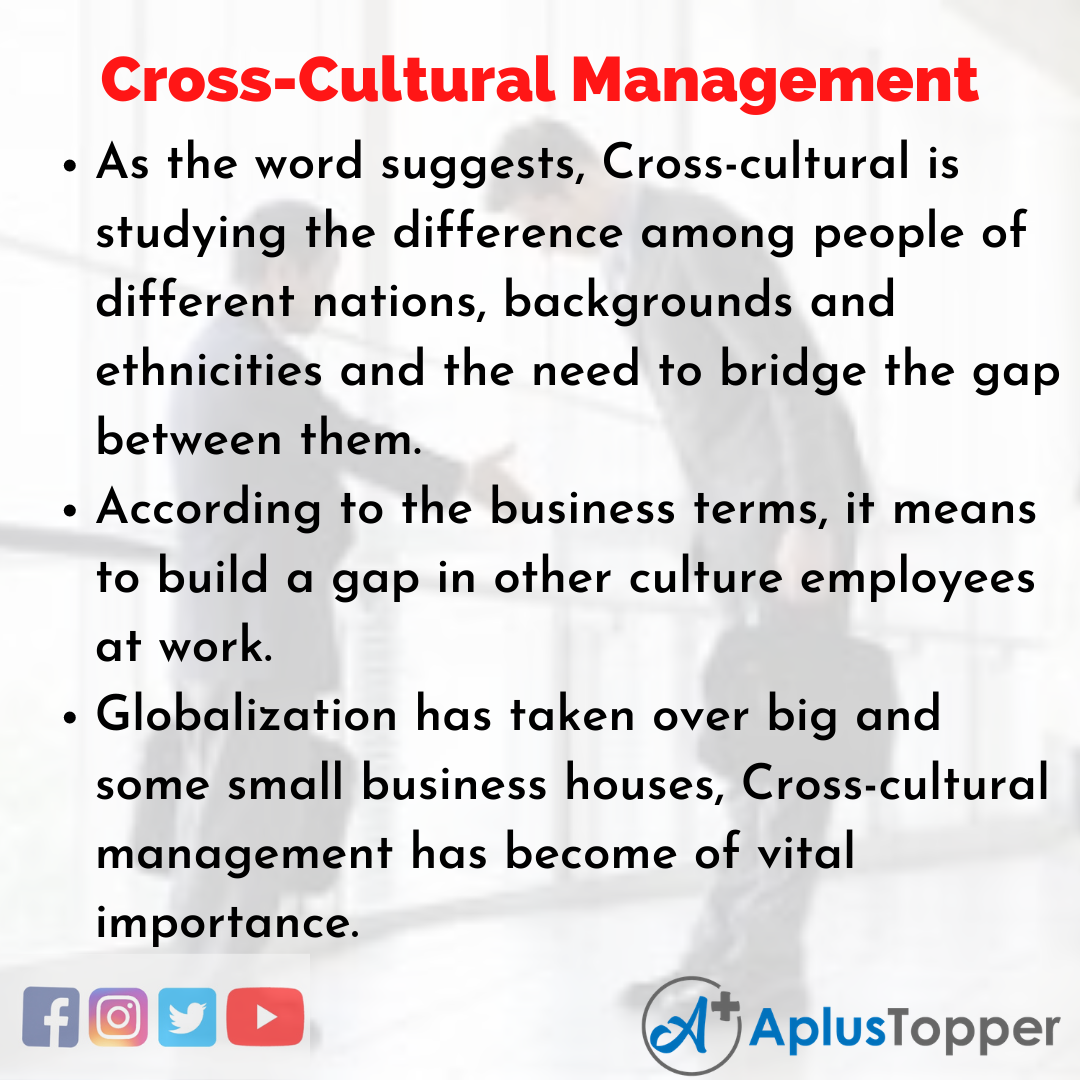 Essay on Cross-Cultural Management