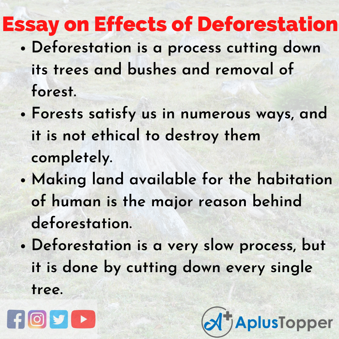 Essay on Effects of Deforestation