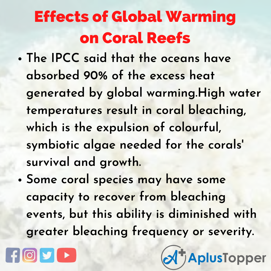 Essay on Effects of Global Warming on Coral Reefs