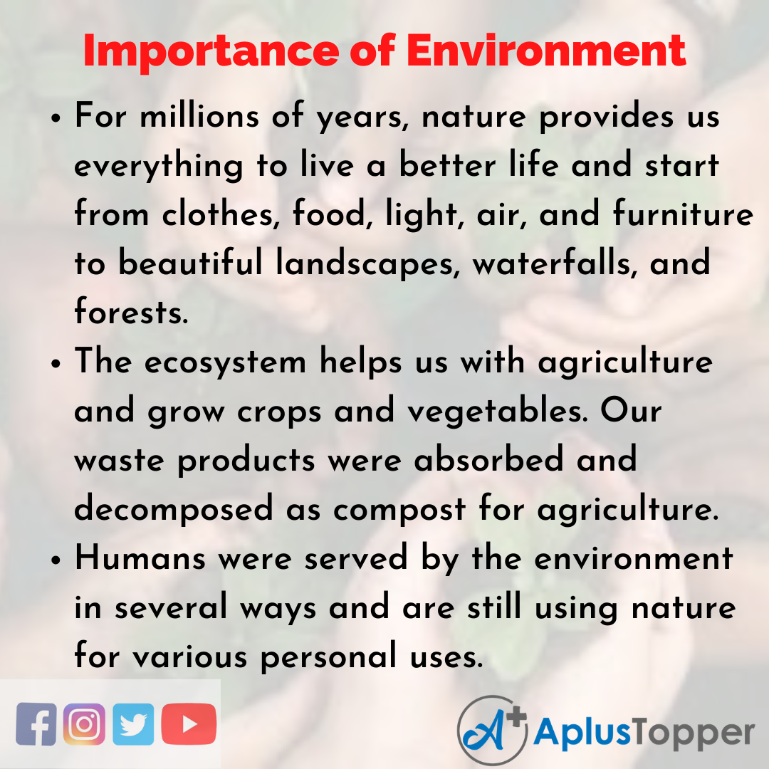 Essay on Importance of Environment