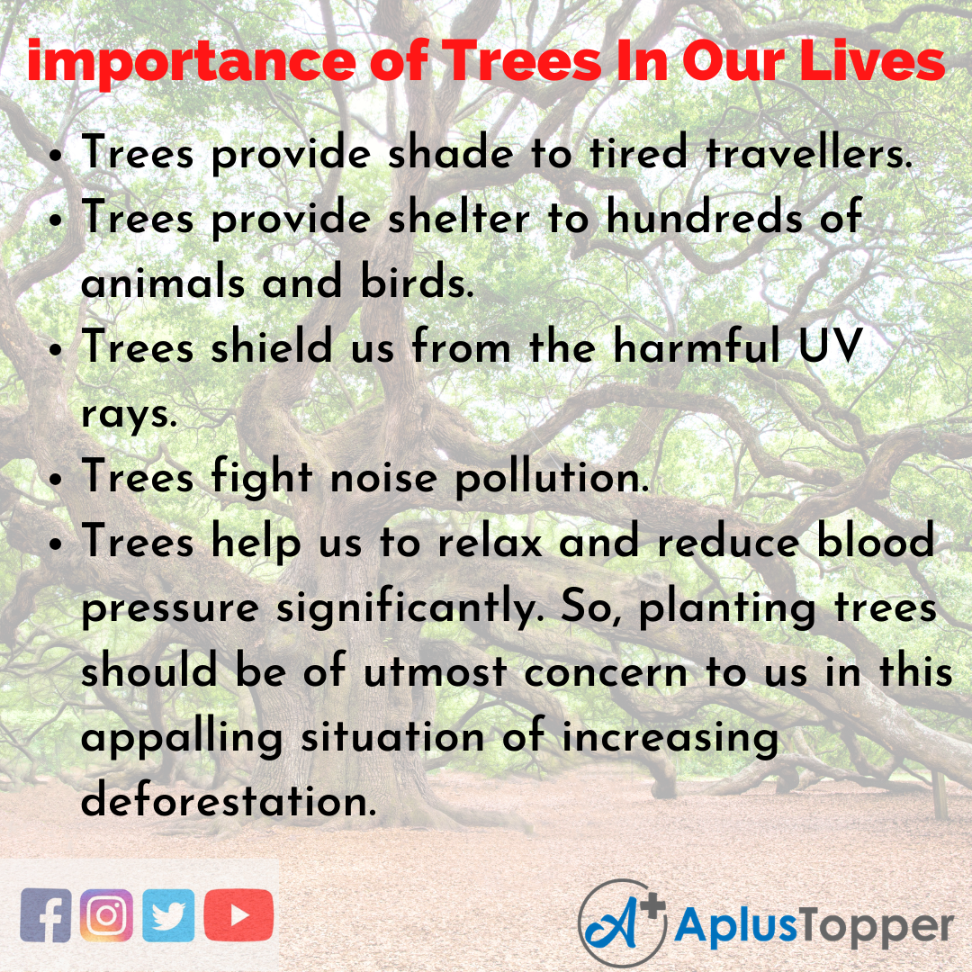 Importance Of Trees In Our Lives Essay