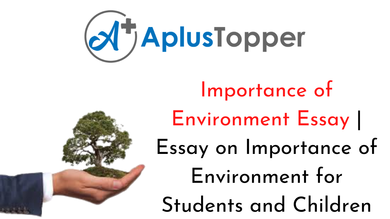 Importance of Environment Essay