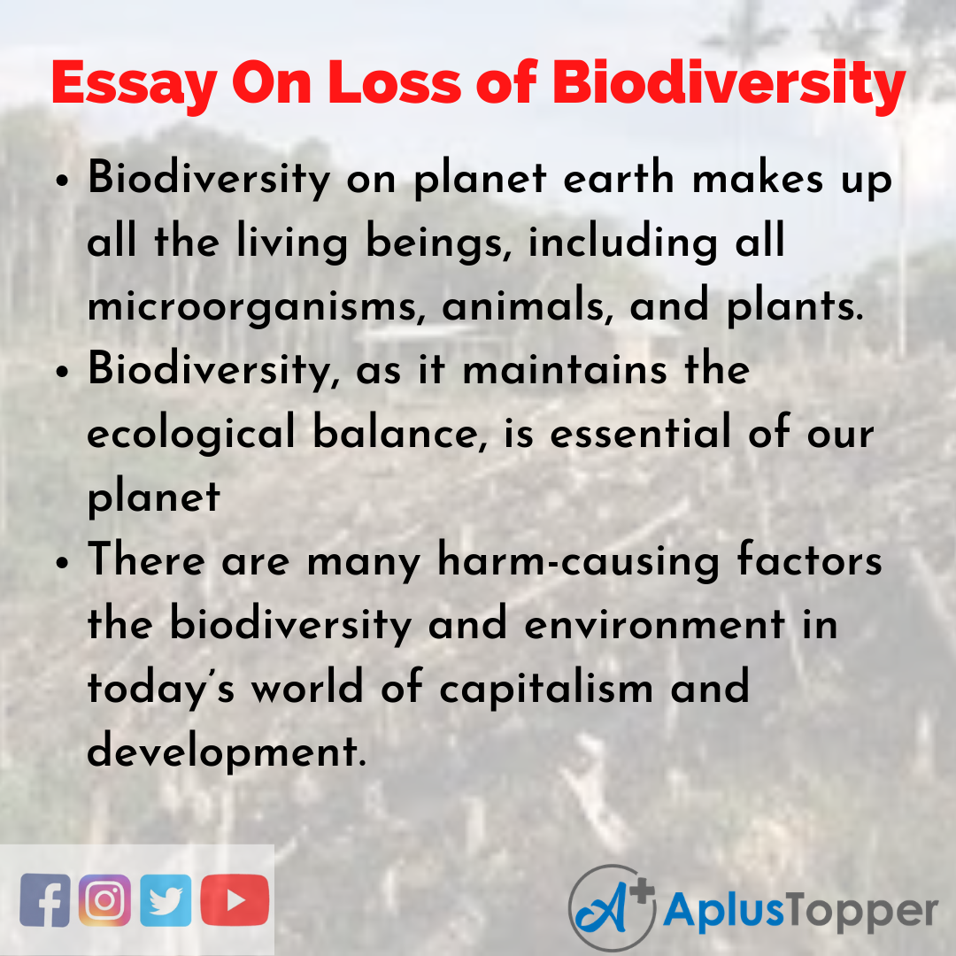 Long Essay On Loss of Biodiversity